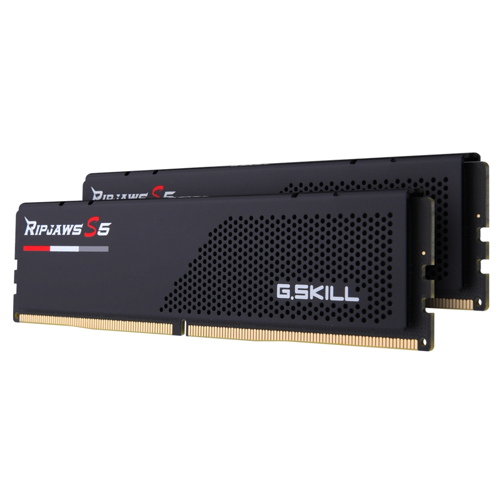 G.SKILL DDR5 5600 CL30 RIPJAWS S5 J 블랙 패키지 64GB(32Gx2)